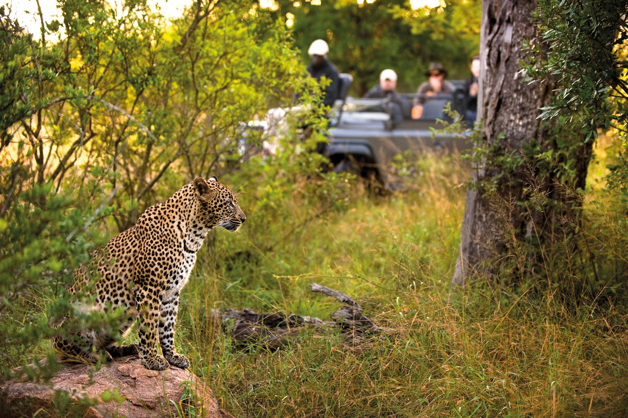 Lion Sands Narina Lodge Sabi-Sand-Reservat Exterior foto