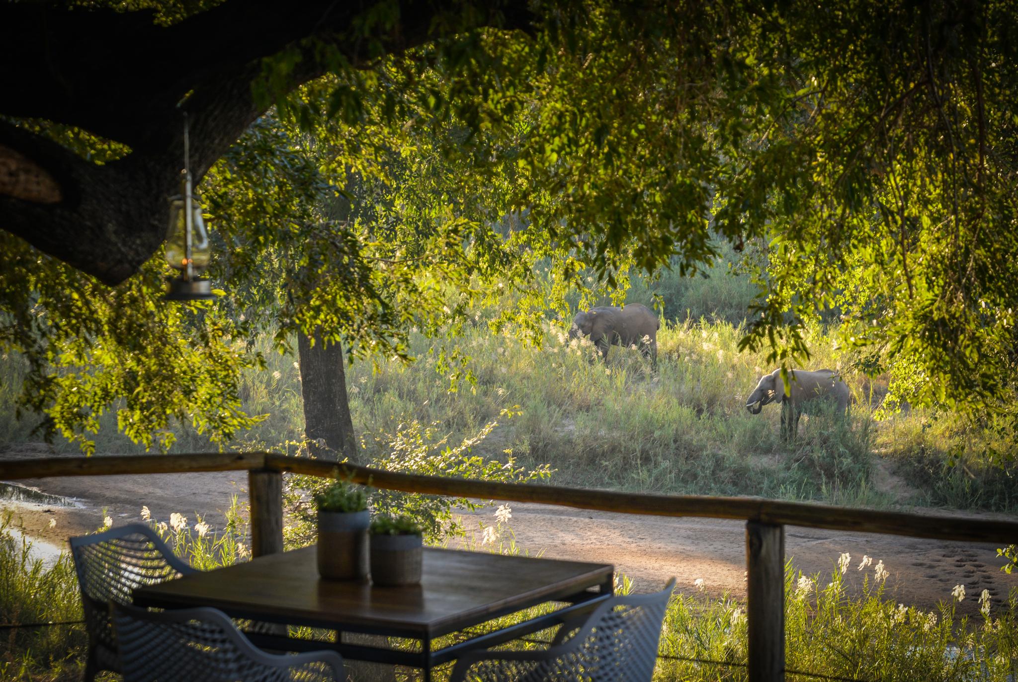 Lion Sands Narina Lodge Sabi-Sand-Reservat Exterior foto