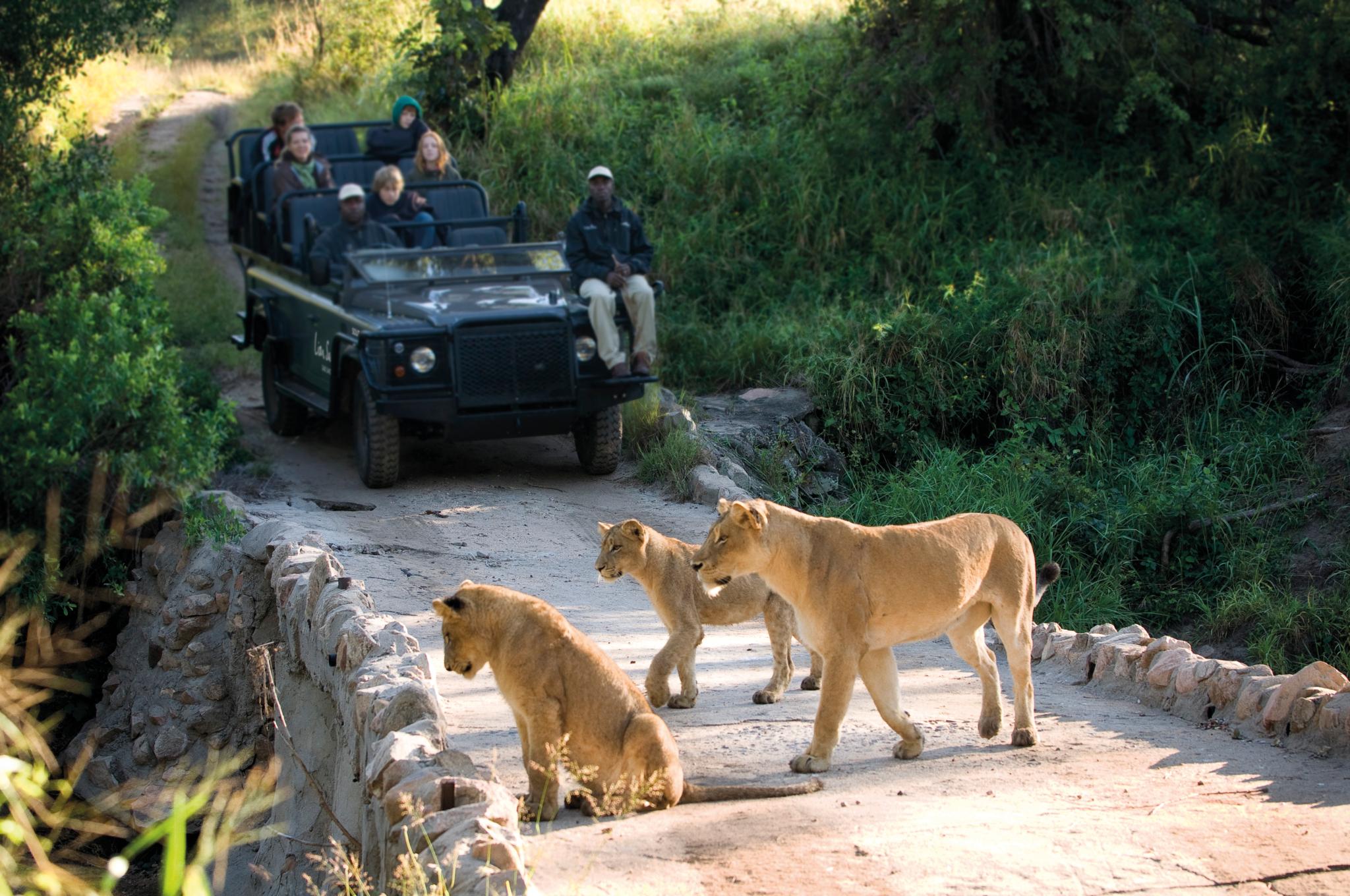 Lion Sands Narina Lodge Sabi-Sand-Reservat Exterior foto