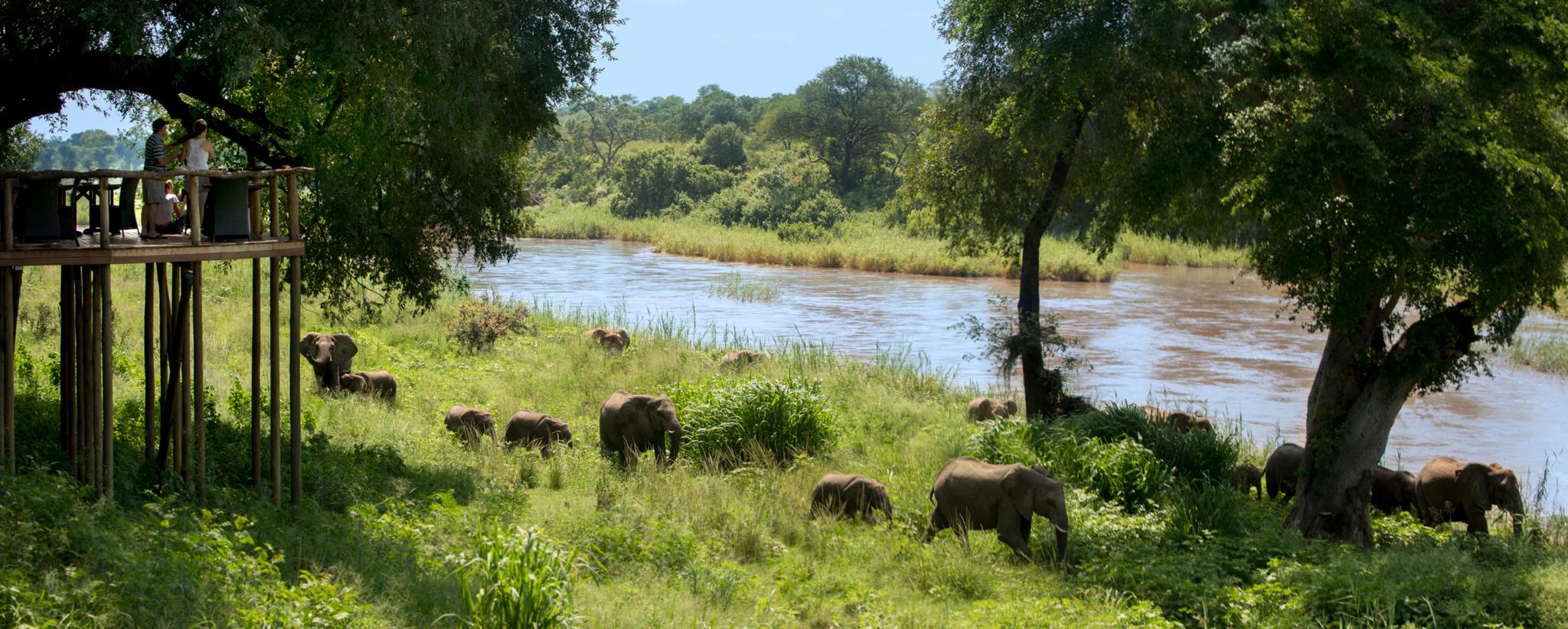 Lion Sands Narina Lodge Sabi-Sand-Reservat Exterior foto